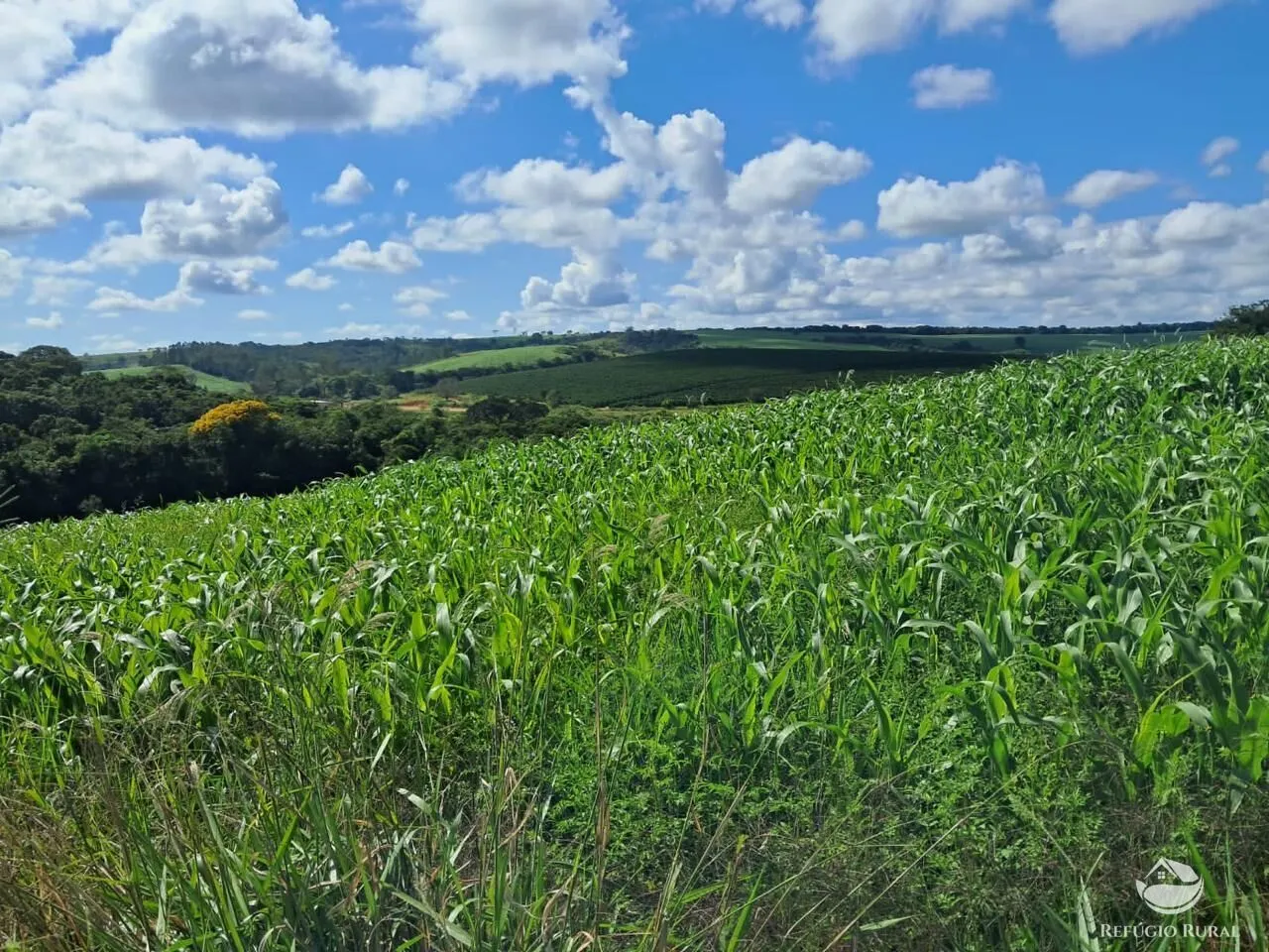 Fazenda à venda de 700 ha em Cristais, MG, Brasil