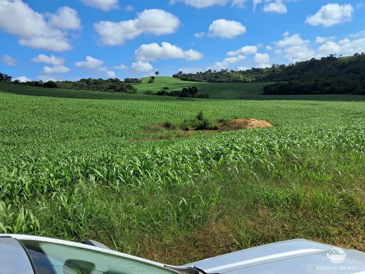 Fazenda à venda de 700 ha em Cristais, MG, Brasil