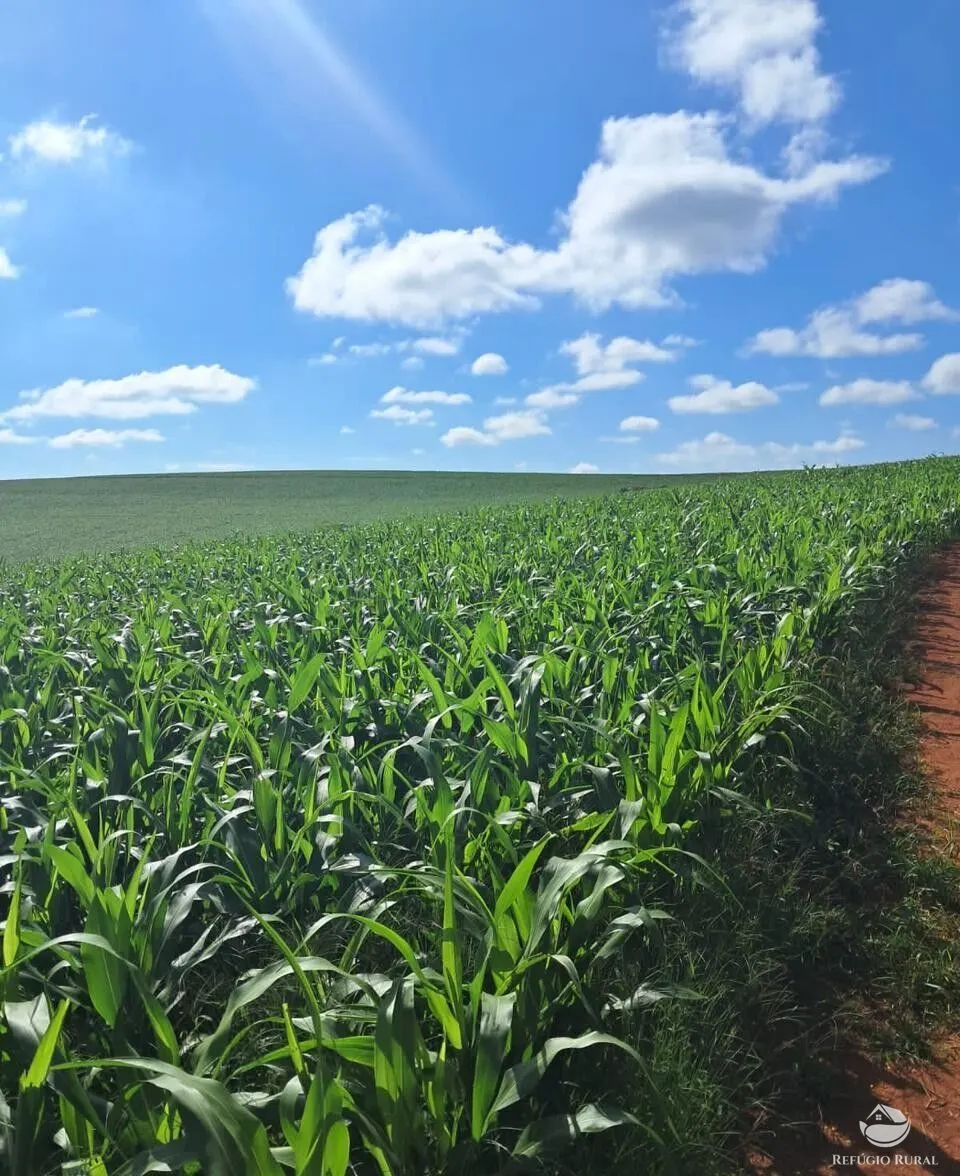 Fazenda à venda de 700 ha em Cristais, MG, Brasil