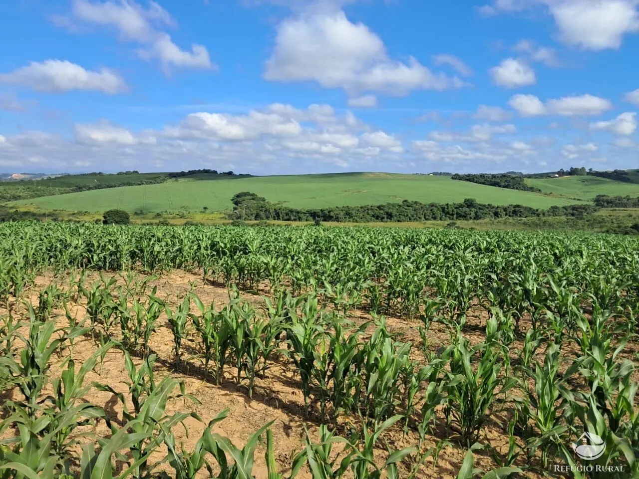 Fazenda à venda de 700 ha em Cristais, MG, Brasil
