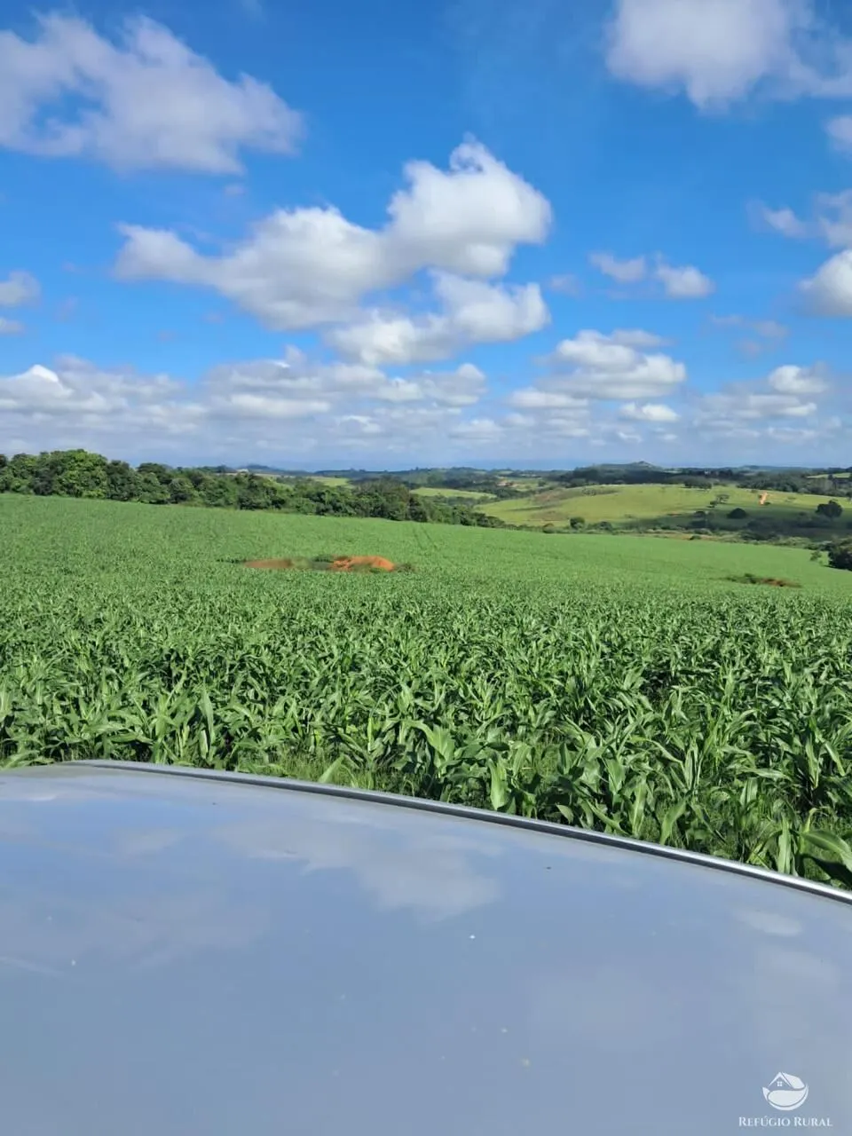 Fazenda à venda de 700 ha em Cristais, MG, Brasil