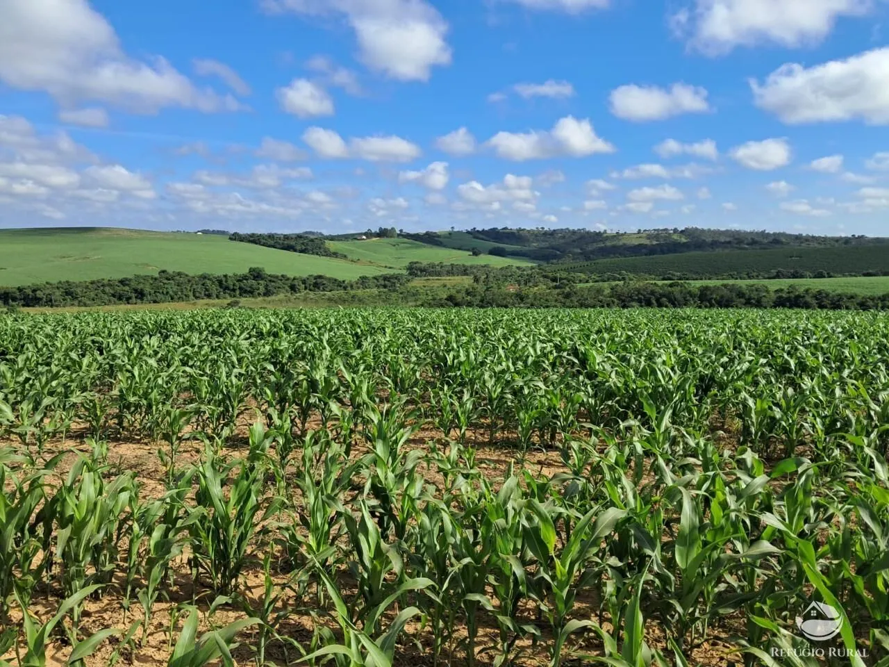 Fazenda à venda de 700 ha em Cristais, MG, Brasil