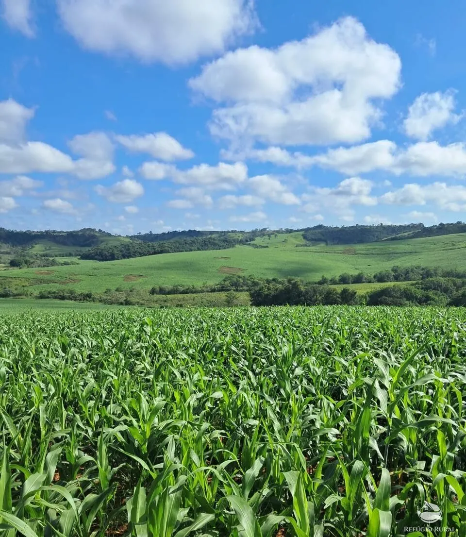Fazenda à venda de 700 ha em Cristais, MG, Brasil