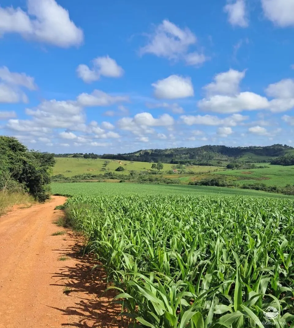 Fazenda à venda de 700 ha em Cristais, MG, Brasil