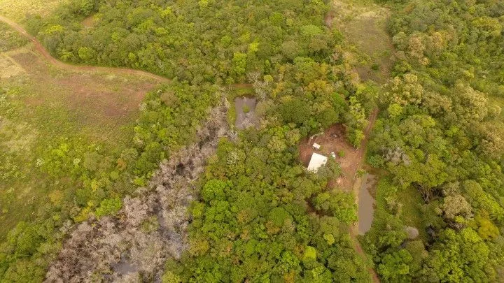 Chácara à venda de 4 ha em Rolante, RS, Brasil