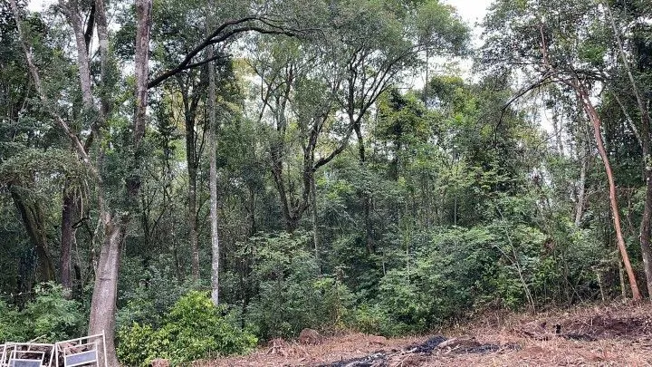 Chácara à venda de 4 ha em Rolante, RS, Brasil
