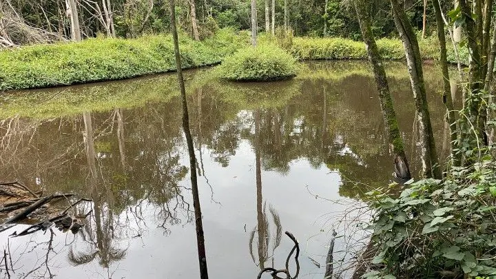 Chácara à venda de 4 ha em Rolante, RS, Brasil