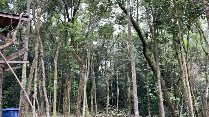 Chácara à venda de 4 ha em Rolante, RS, Brasil