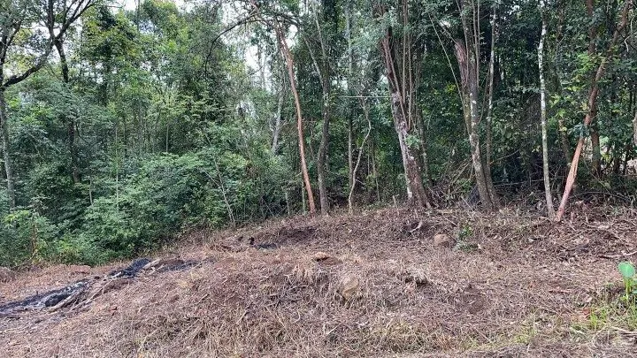 Chácara à venda de 4 ha em Rolante, RS, Brasil