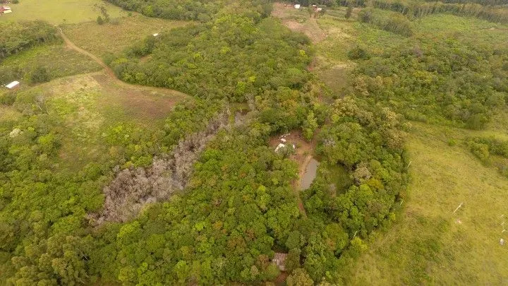 Chácara à venda de 4 ha em Rolante, RS, Brasil