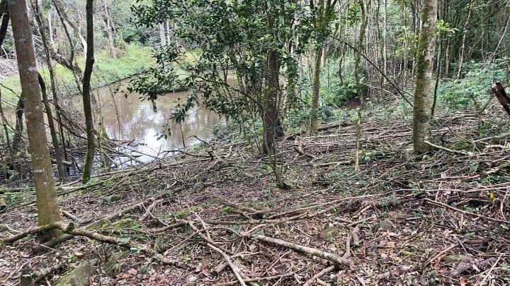 Chácara à venda de 4 ha em Rolante, RS, Brasil