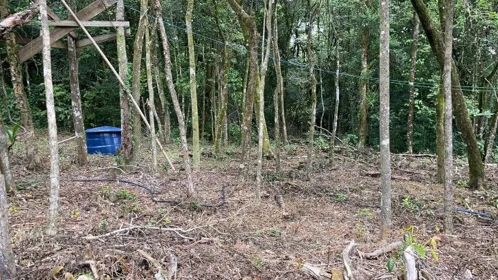 Chácara à venda de 4 ha em Rolante, RS, Brasil