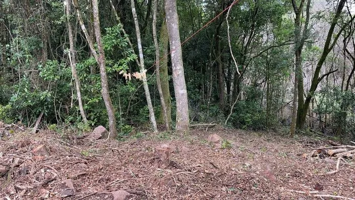 Chácara à venda de 4 ha em Rolante, RS, Brasil