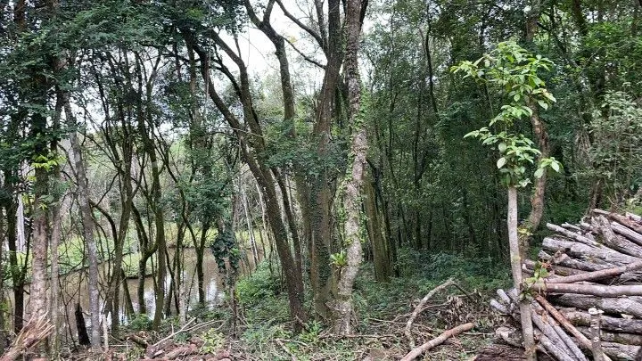 Chácara à venda de 4 ha em Rolante, RS, Brasil