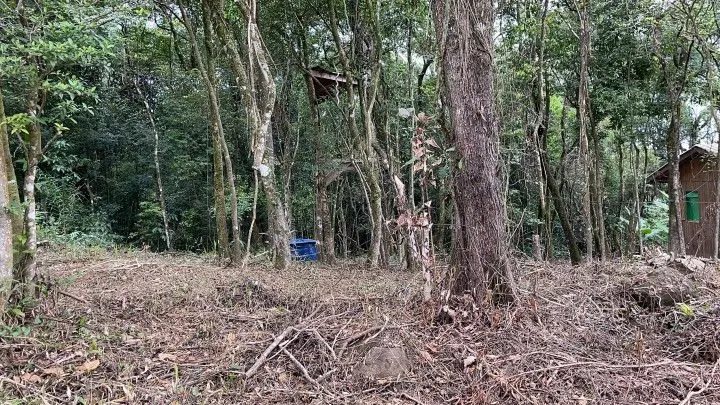 Chácara à venda de 4 ha em Rolante, RS, Brasil