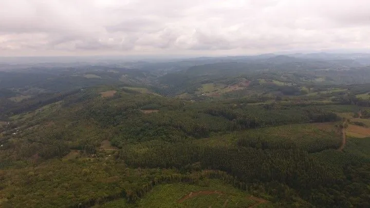 Chácara à venda de 4 ha em Rolante, RS, Brasil
