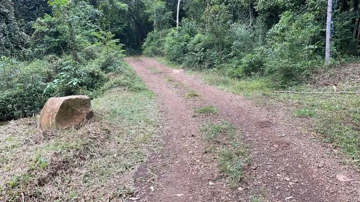 Chácara à venda de 4 ha em Rolante, RS, Brasil