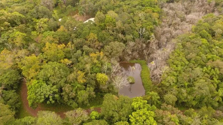 Chácara à venda de 4 ha em Rolante, RS, Brasil