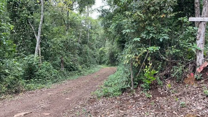 Chácara à venda de 4 ha em Rolante, RS, Brasil