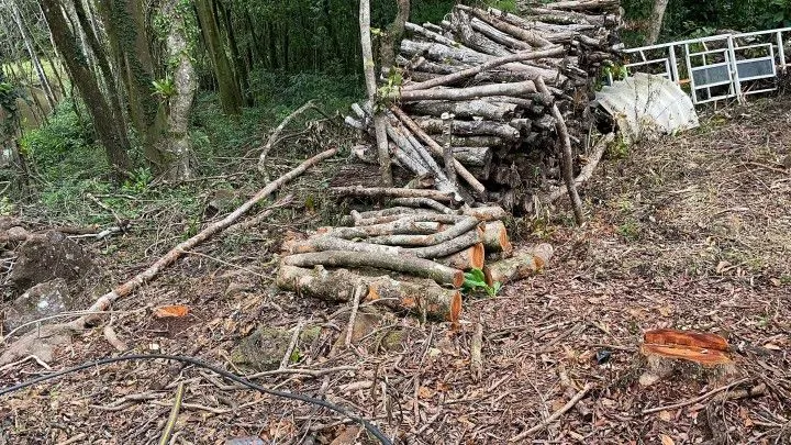 Chácara à venda de 4 ha em Rolante, RS, Brasil