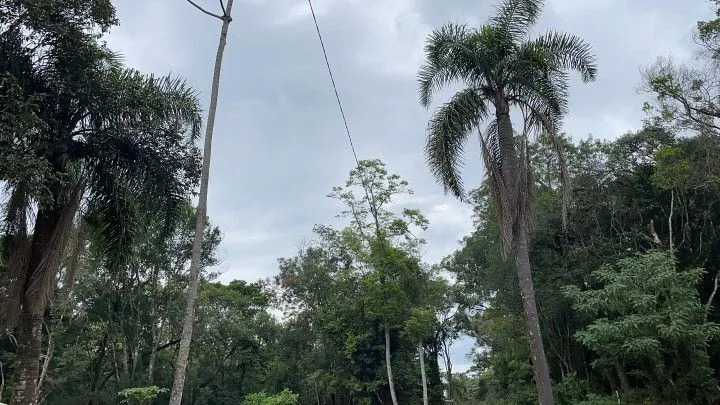 Chácara à venda de 4 ha em Rolante, RS, Brasil