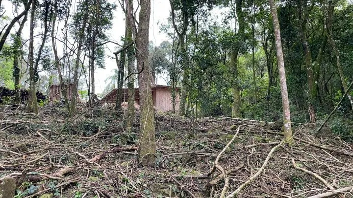 Chácara à venda de 4 ha em Rolante, RS, Brasil