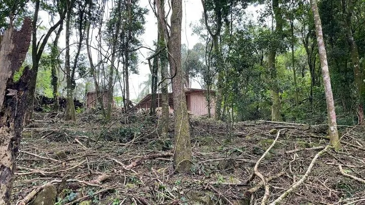 Chácara à venda de 4 ha em Rolante, RS, Brasil