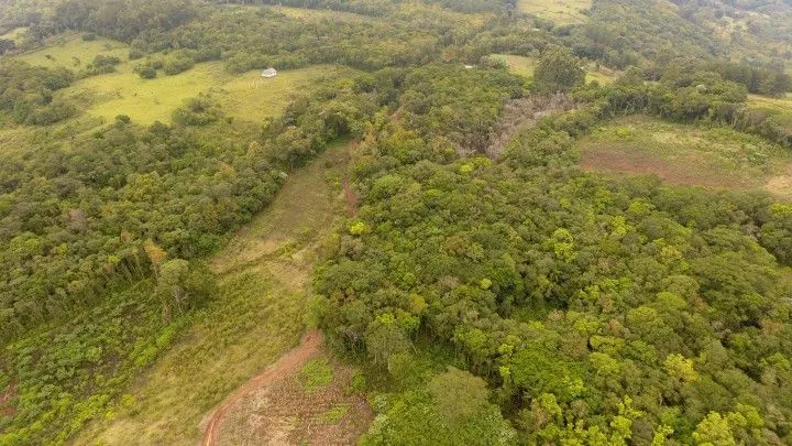 Chácara à venda de 4 ha em Rolante, RS, Brasil