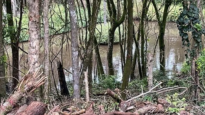 Chácara à venda de 4 ha em Rolante, RS, Brasil