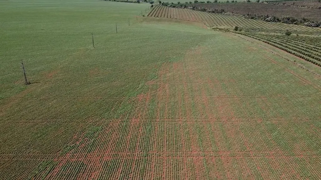 Fazenda à venda de 121 ha em Itaí, SP, Brasil
