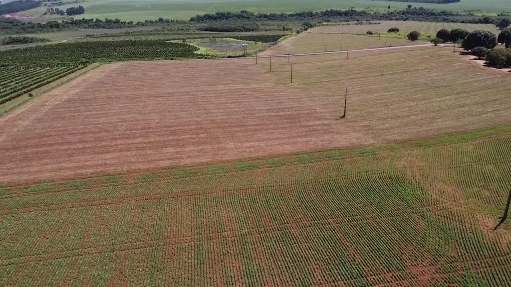 Fazenda à venda de 121 ha em Itaí, SP, Brasil