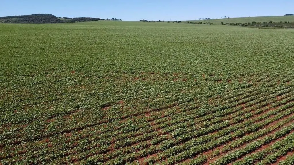 Fazenda à venda de 121 ha em Itaí, SP, Brasil