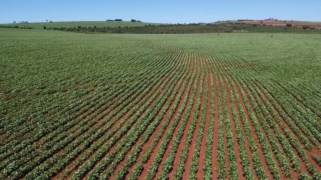 Fazenda à venda de 121 ha em Itaí, SP, Brasil
