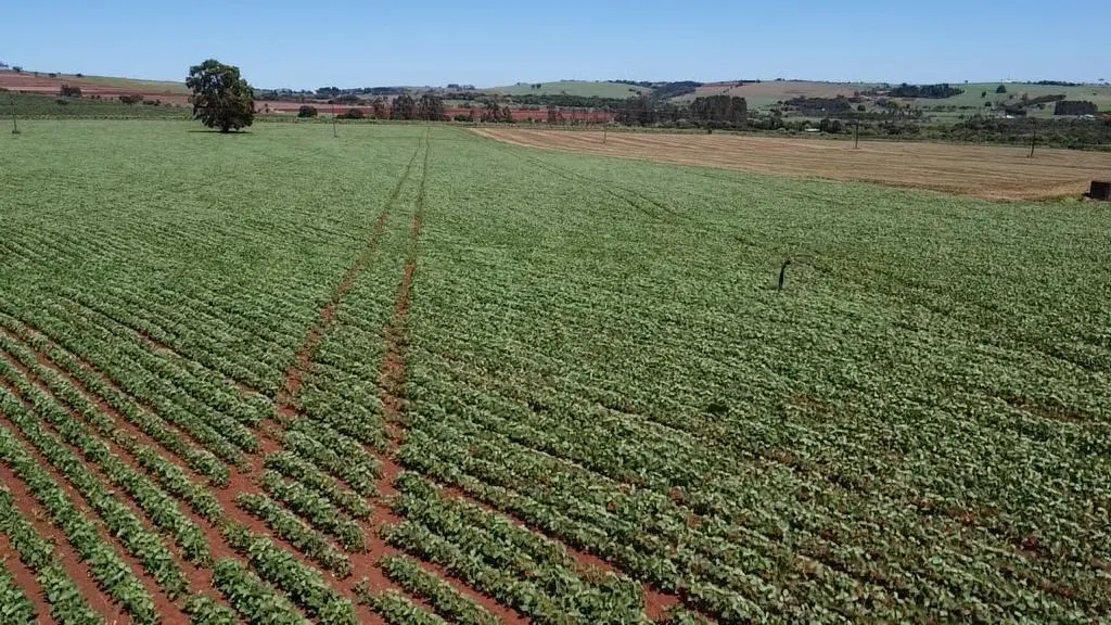 Fazenda à venda de 121 ha em Itaí, SP, Brasil