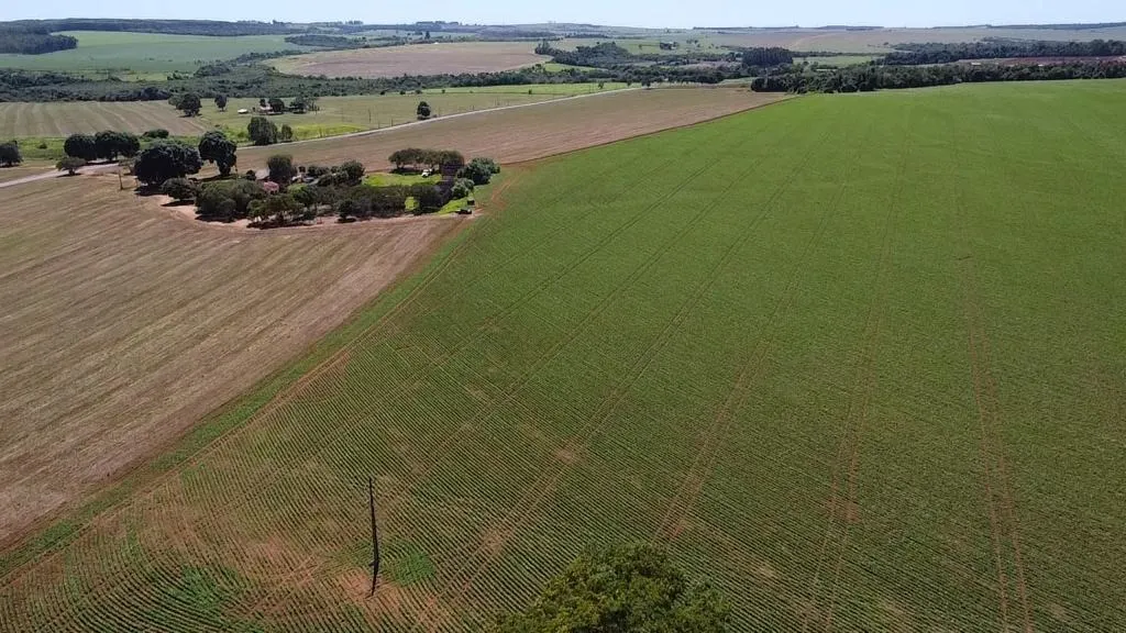Fazenda à venda de 121 ha em Itaí, SP, Brasil
