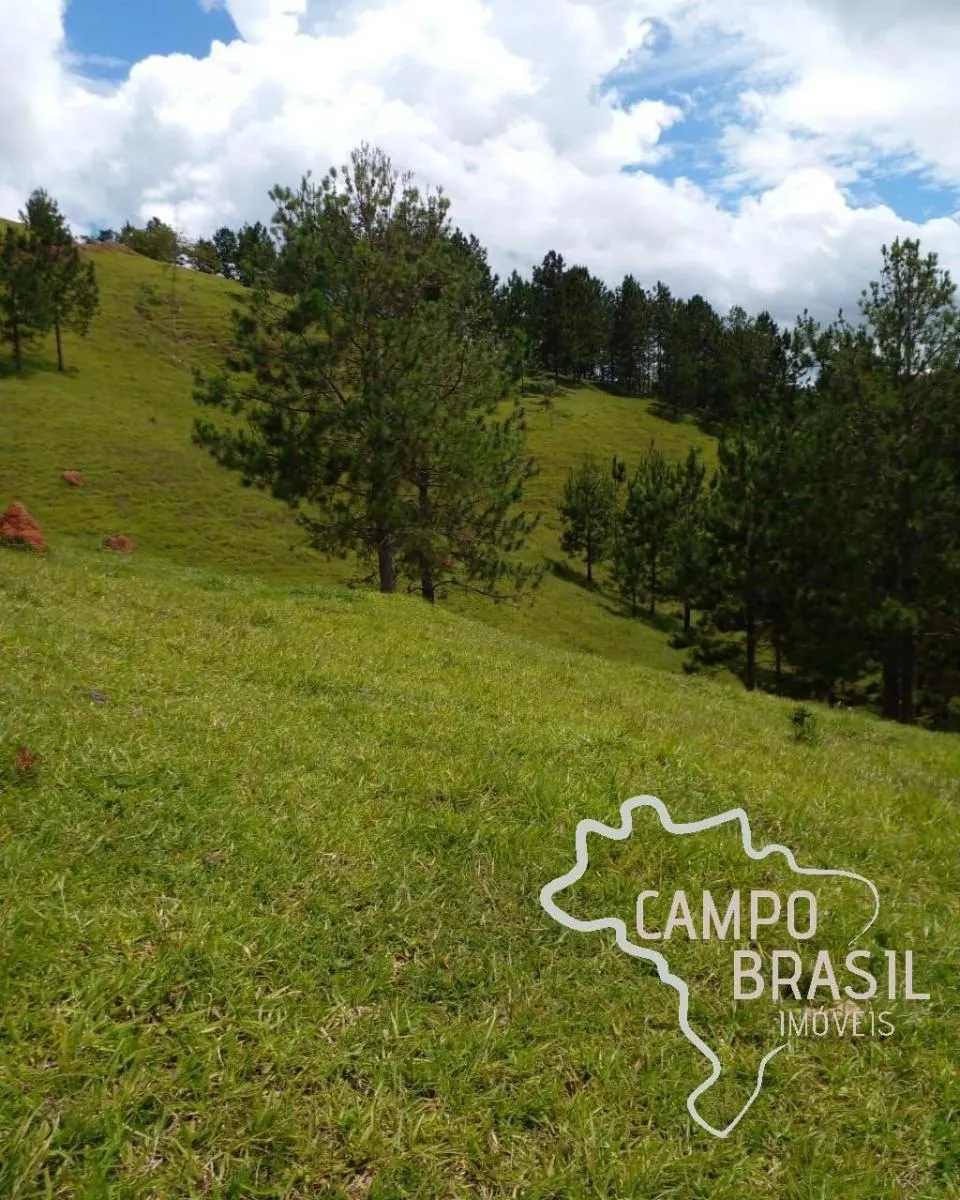 Sítio à venda de 9 ha em Jambeiro, SP, Brasil