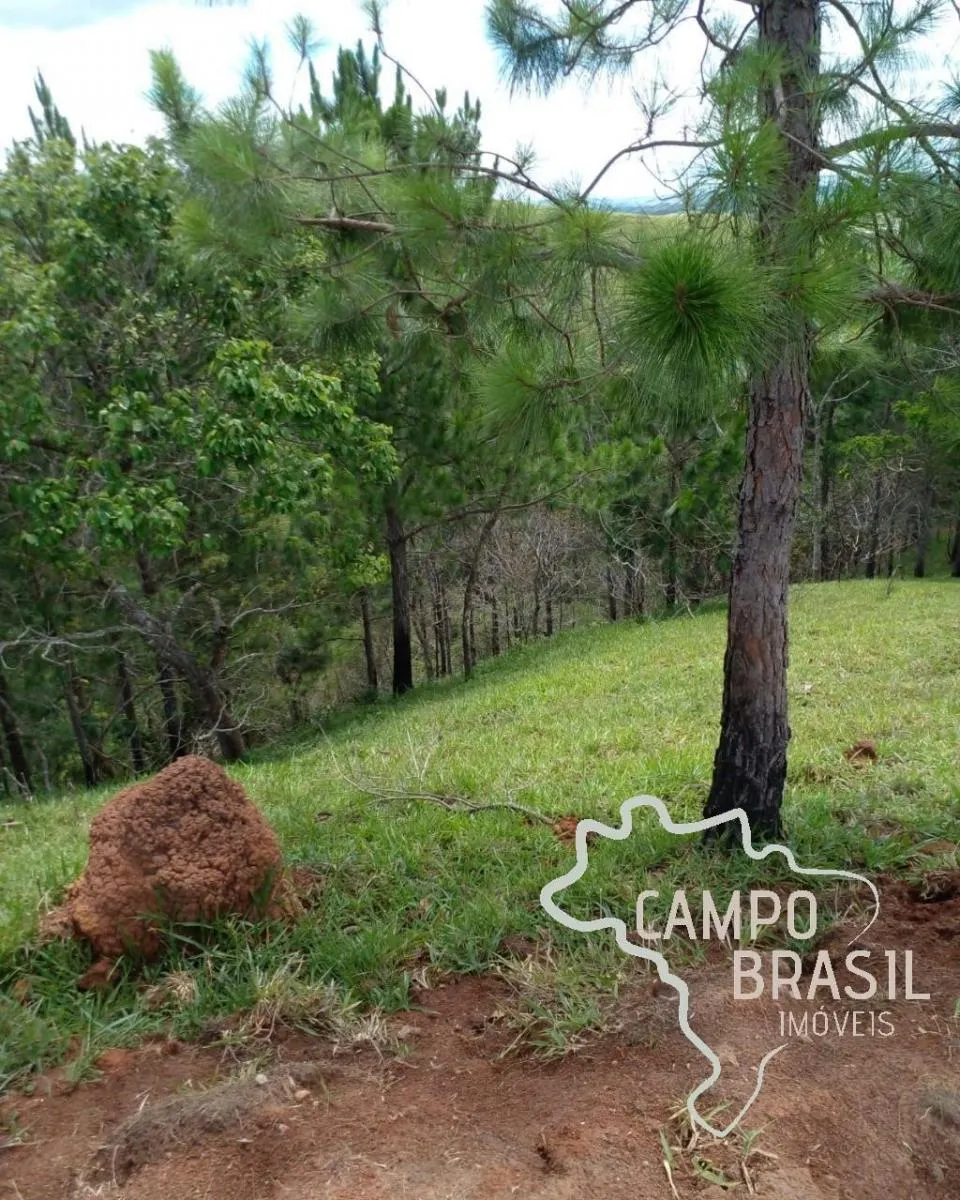 Sítio à venda de 9 ha em Jambeiro, SP, Brasil