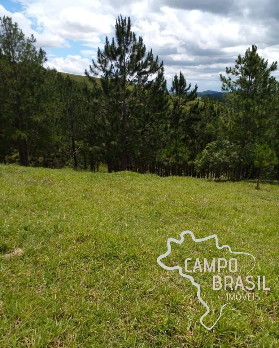 Sítio à venda de 9 ha em Jambeiro, SP, Brasil