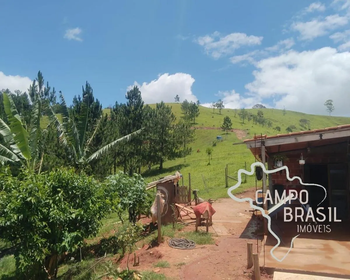 Sítio à venda de 9 ha em Jambeiro, SP, Brasil