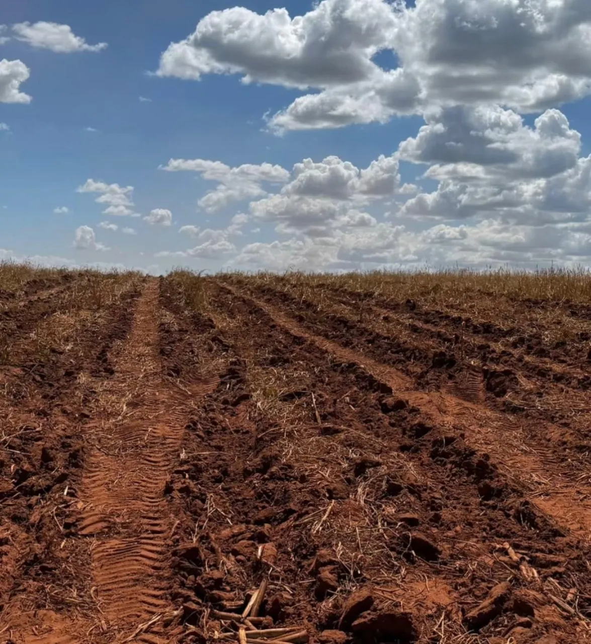 Fazenda à venda de 920 ha em Presidente Prudente, SP, Brasil