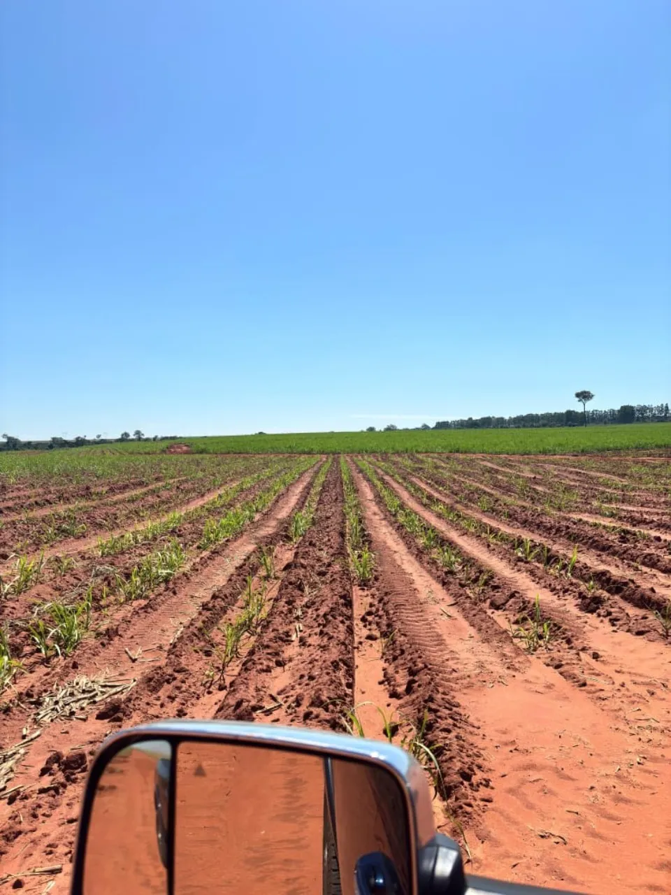 Fazenda à venda de 920 ha em Presidente Prudente, SP, Brasil