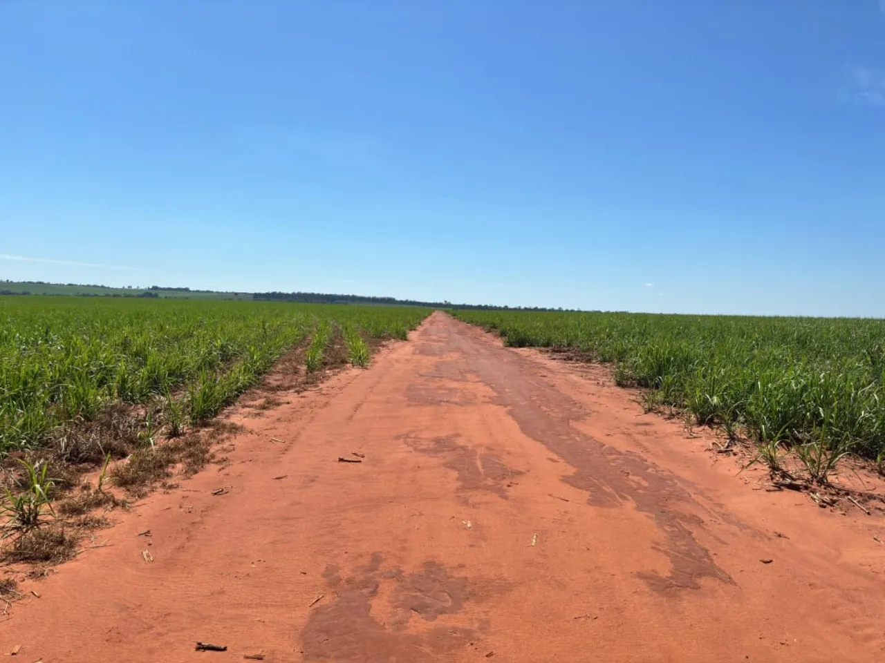 Fazenda à venda de 920 ha em Presidente Prudente, SP, Brasil
