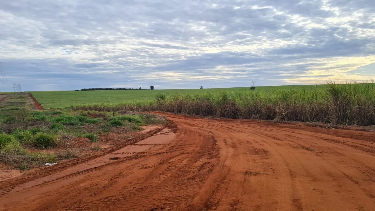 Fazenda à venda de 920 ha em Presidente Prudente, SP, Brasil