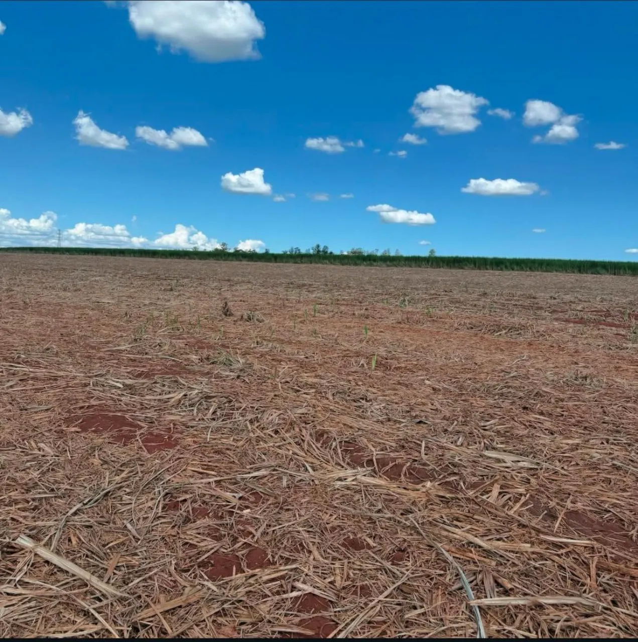 Fazenda à venda de 920 ha em Presidente Prudente, SP, Brasil