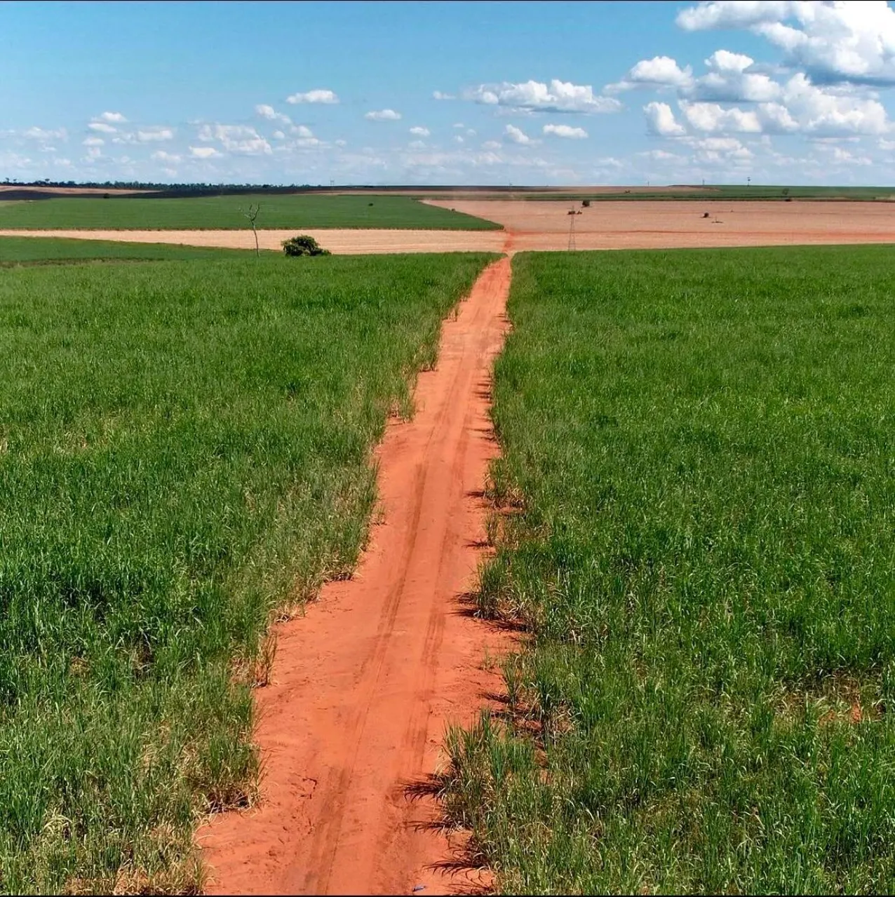 Fazenda à venda de 920 ha em Presidente Prudente, SP, Brasil