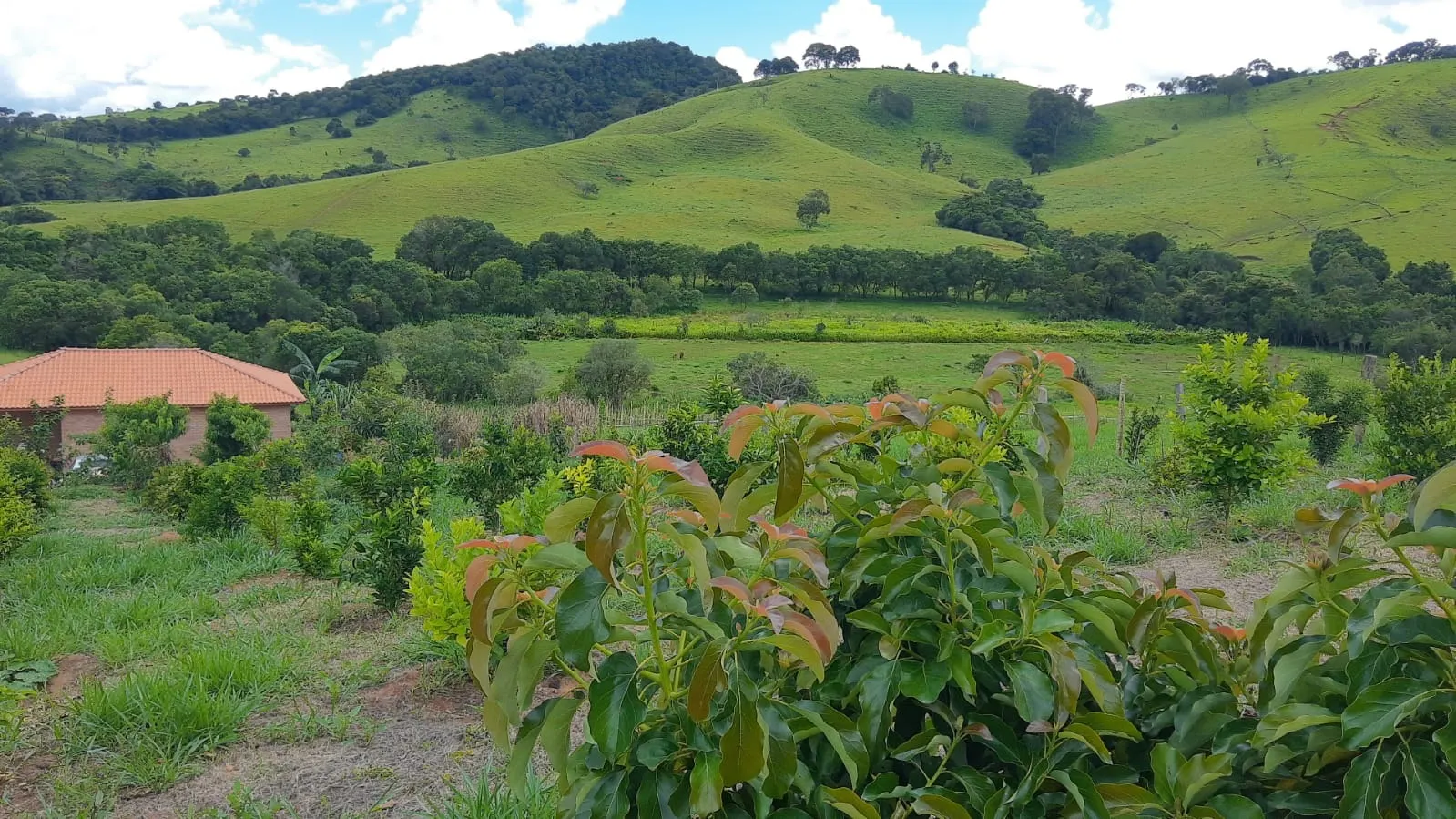 Country home for sale of 1 acres in Cambuí, MG, Brazil