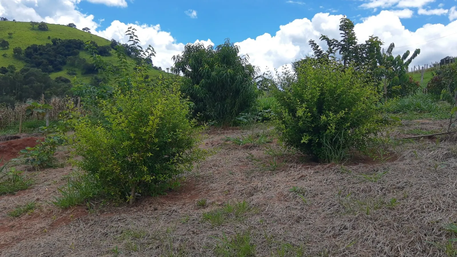 Country home for sale of 1 acres in Cambuí, MG, Brazil