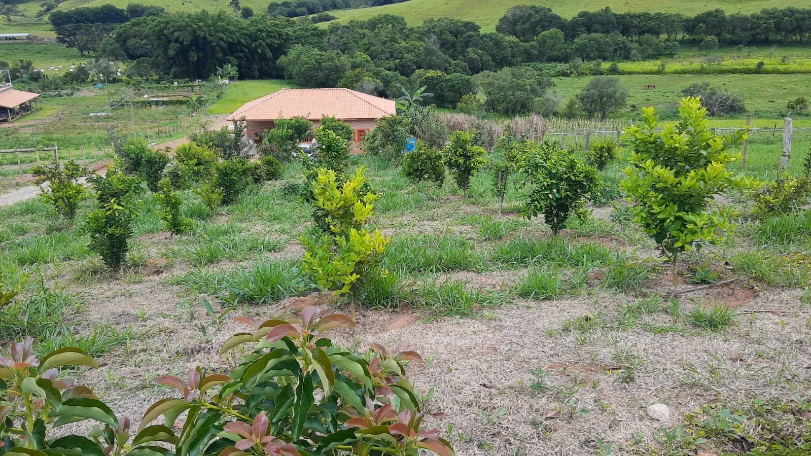 Country home for sale of 1 acres in Cambuí, MG, Brazil