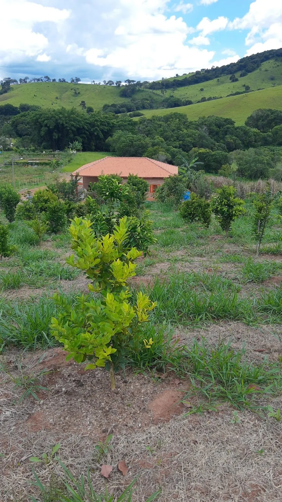 Country home for sale of 1 acres in Cambuí, MG, Brazil