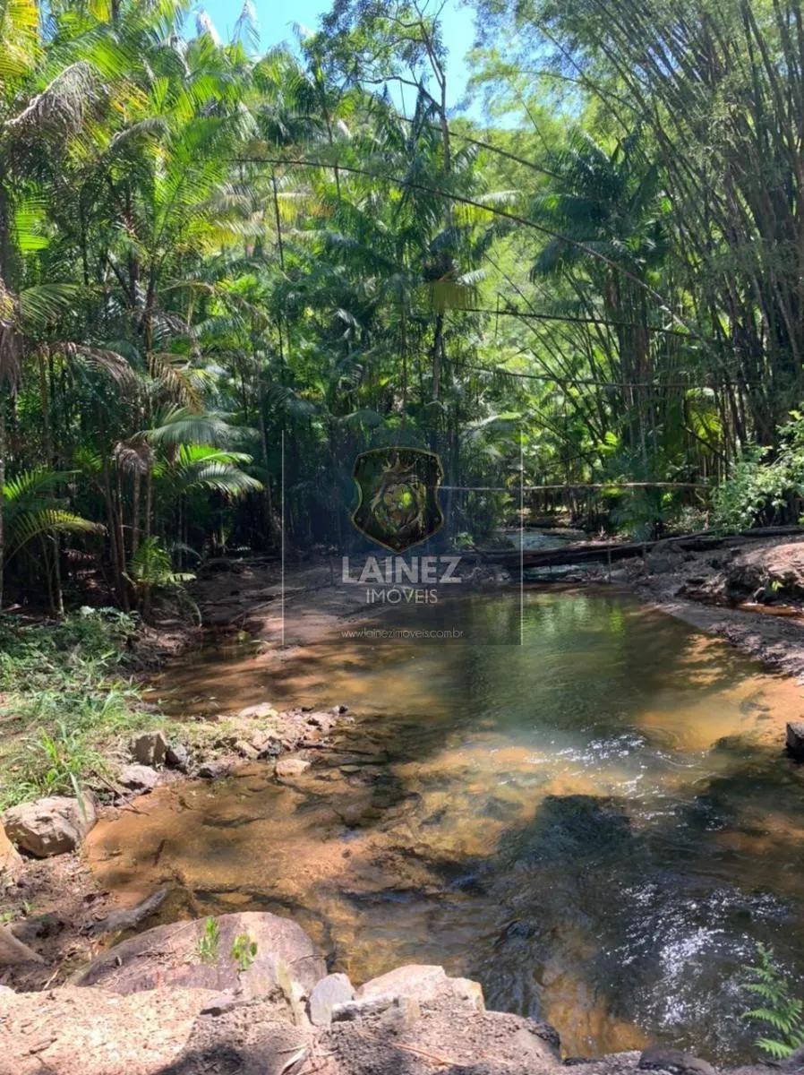 Fazenda à venda de 82 ha em Miracatu, SP, Brasil